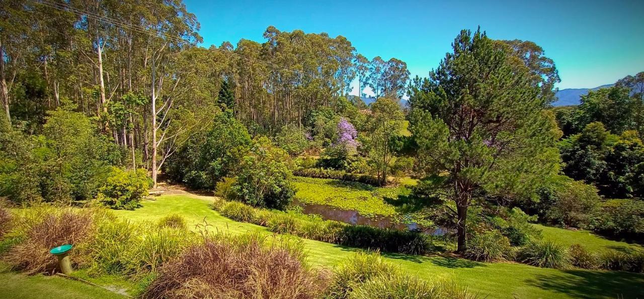 Lilypad Luxury Cabins Bellingen Esterno foto