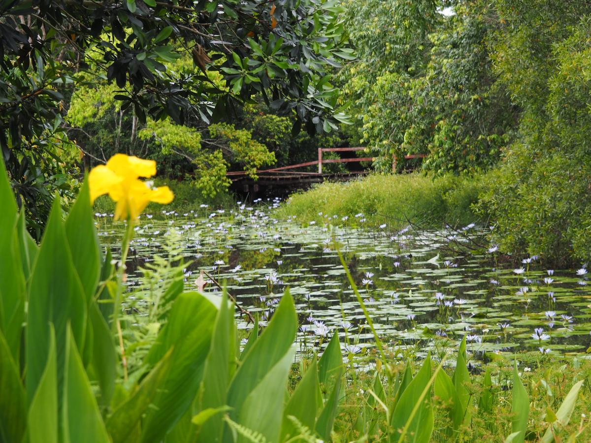 Lilypad Luxury Cabins Bellingen Esterno foto
